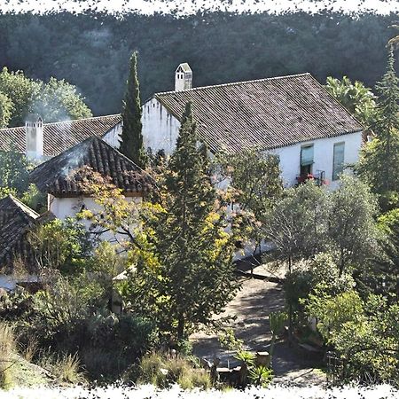 הוילה מאלגה Cortijo Casas Viejas מראה חיצוני תמונה