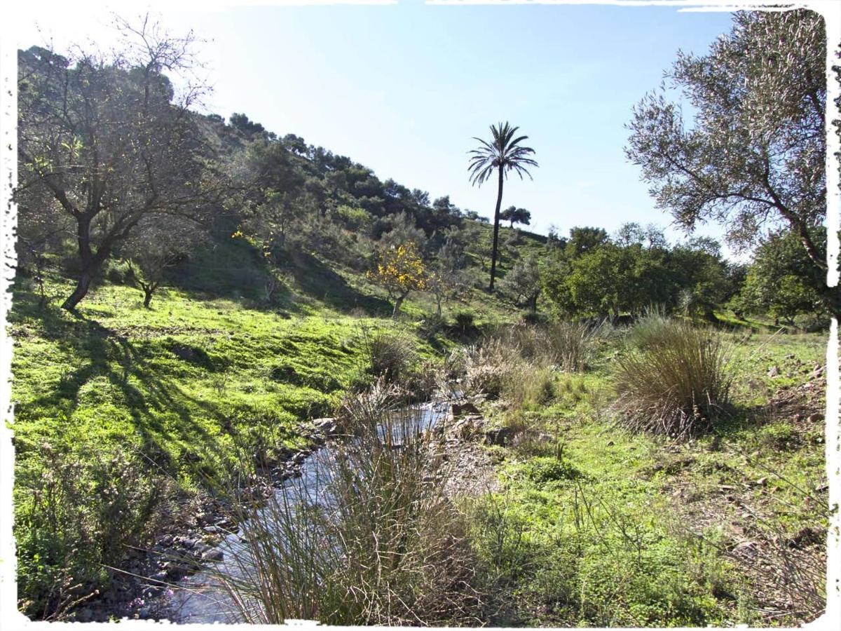 הוילה מאלגה Cortijo Casas Viejas מראה חיצוני תמונה