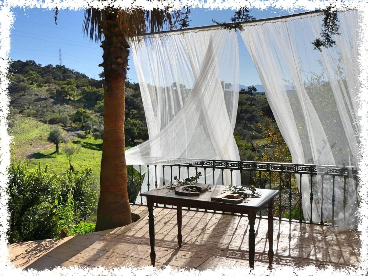 הוילה מאלגה Cortijo Casas Viejas מראה חיצוני תמונה