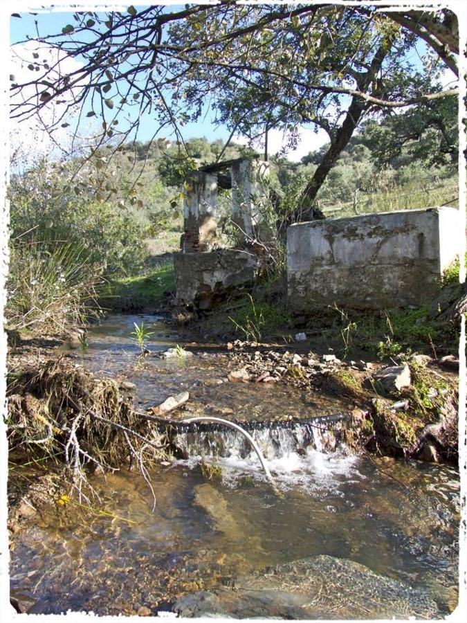 הוילה מאלגה Cortijo Casas Viejas מראה חיצוני תמונה