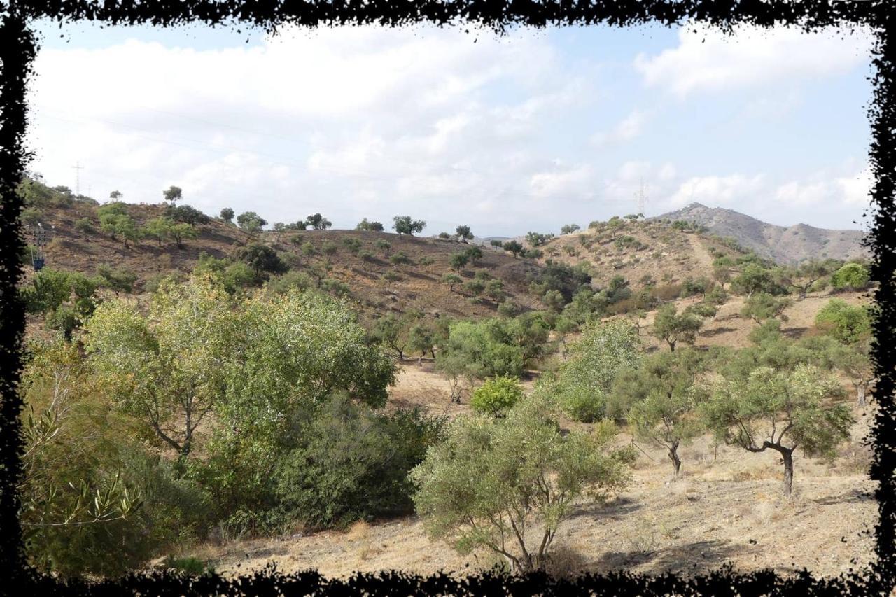הוילה מאלגה Cortijo Casas Viejas מראה חיצוני תמונה